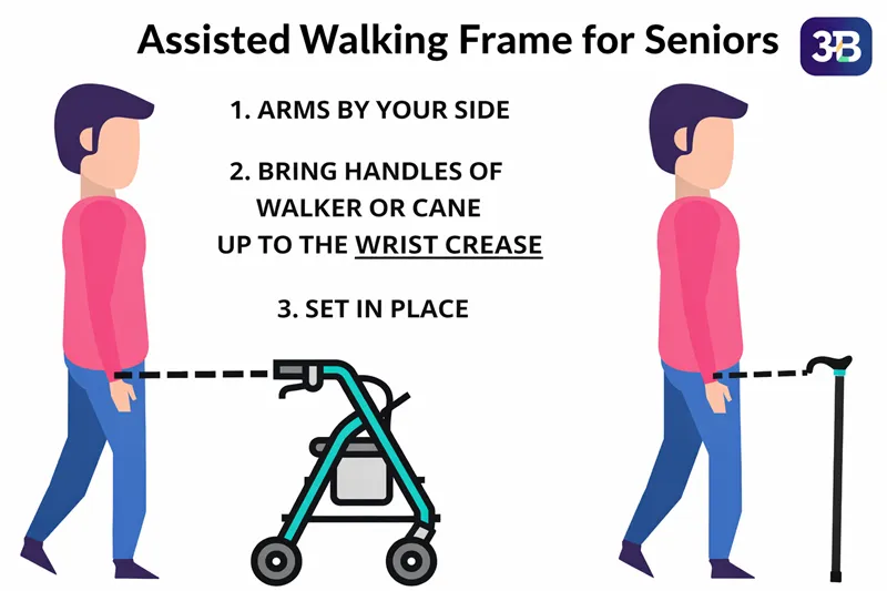 Assisted Walking Frame for Seniors: Complete Mobility Support Guide for Stability, Rehabilitation & Safe Daily Movement | Aarogyaa Bharat