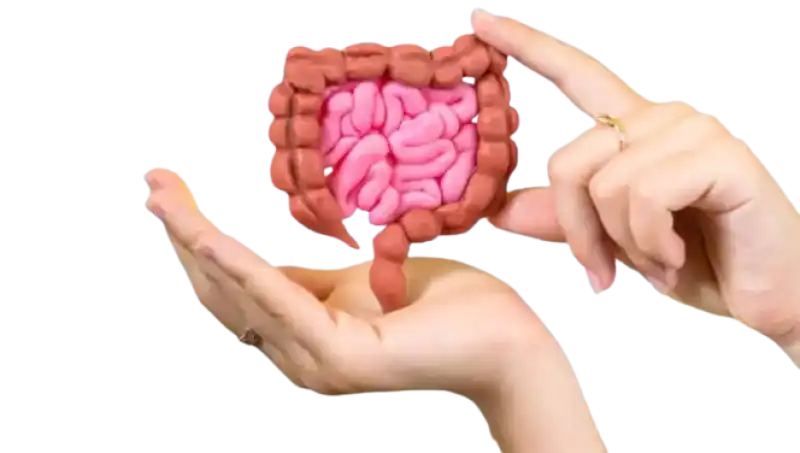 Why Your Gut Health Deserves More Hype Than Skincare