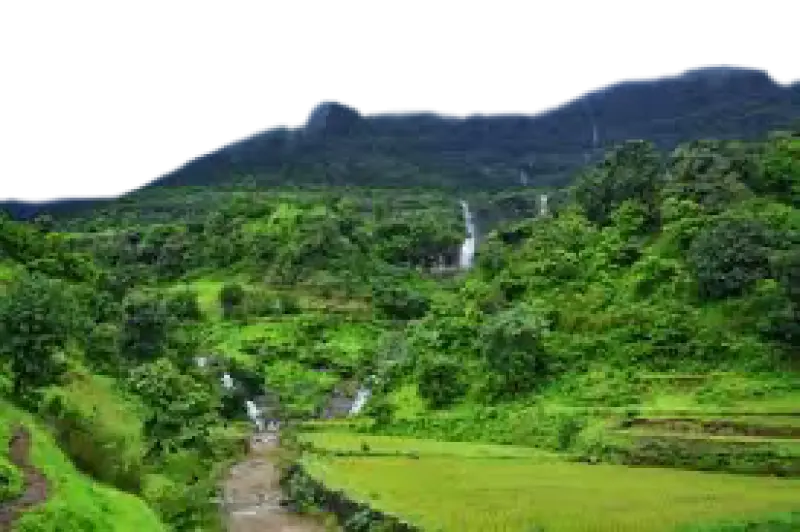 Monsoon Treks: Adventure Meets Wellness