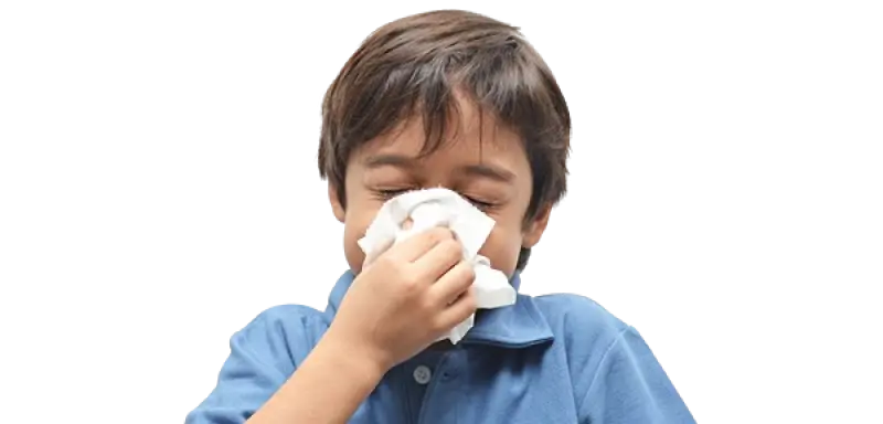 Seasonal Flu vs COVID vs Allergies: Spot the Differences