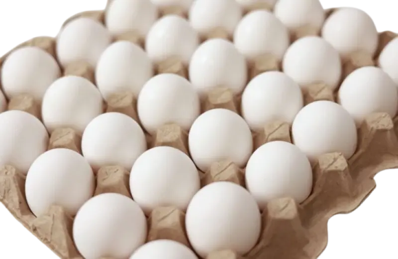 Why Eggs Are Essential for Everyone – From Toddlers to Elders