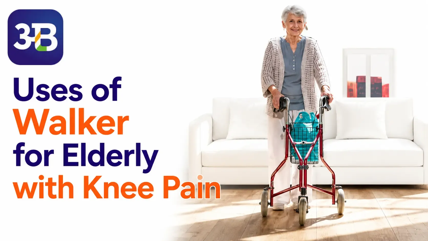 Uses of Walker for Elderly with Knee Pain