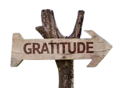 The Science of Gratitude: How Thankfulness Heals the Mind