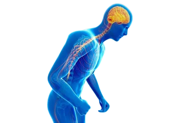 Parkinson’s Disease: A Complete Guide for Patients and Caregivers