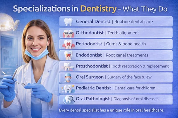 Specializations in Dentistry - What They Do