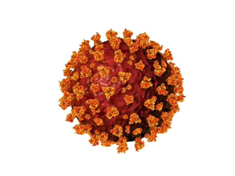 Covid Is Back: What You Need to Know