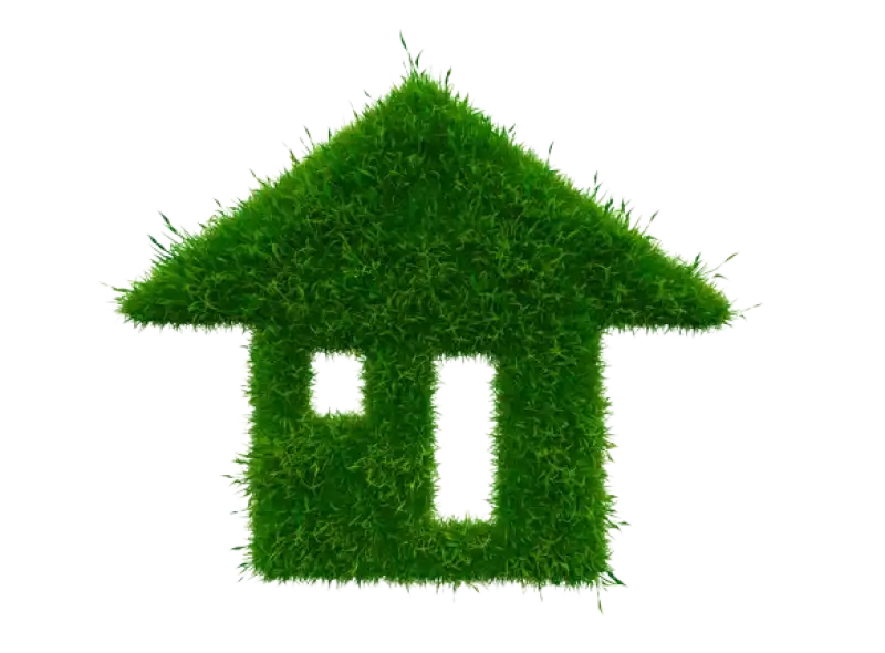 Building a Healthy Home Environment for 2025