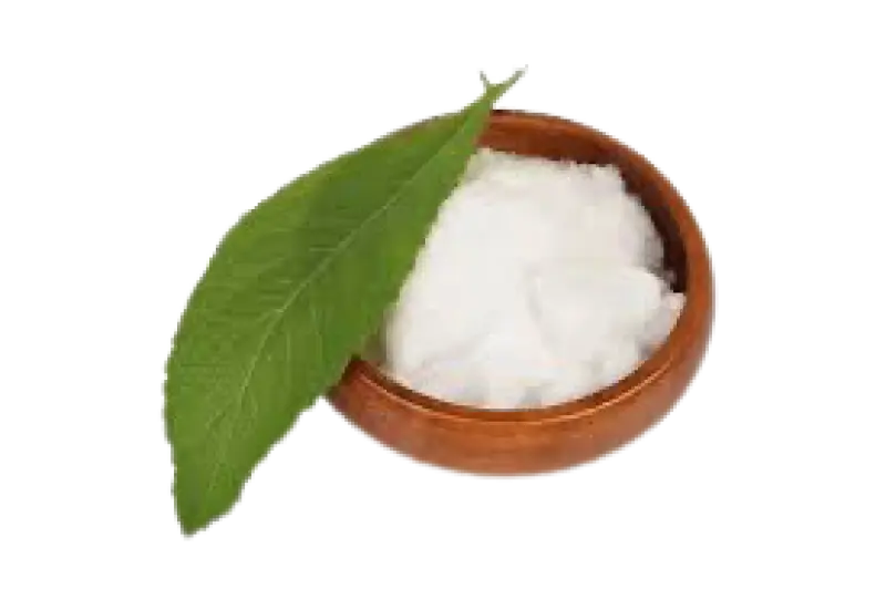 Camphor: The Traditional Remedy That Protects Your Home & Health Naturally