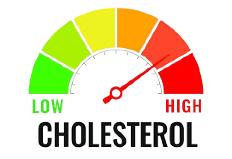 Cholesterol Levels Explained: HDL, LDL & Indian Diet Remedies