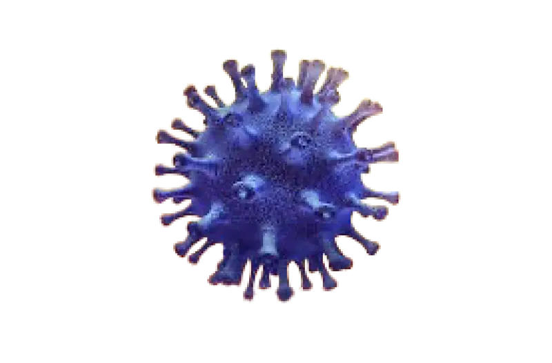 Can COVID-19 Reinfect the Same Person Within a Week or 14 Days? Here's What Science Says