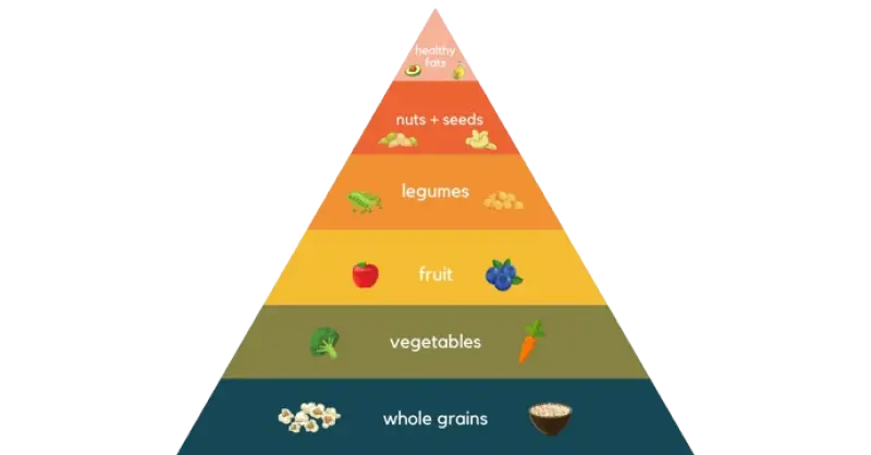 Understanding the Food Pyramid: A Simple Guide to Smarter Eating