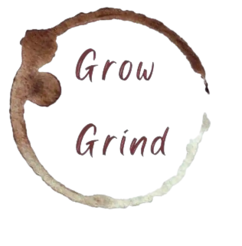 Side Hustle Culture: Growth or Grind?