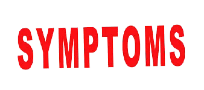 Medical Equipment on Rent in Pune