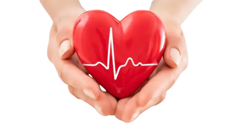 Heart Health 101: How to Keep Your Heart Strong