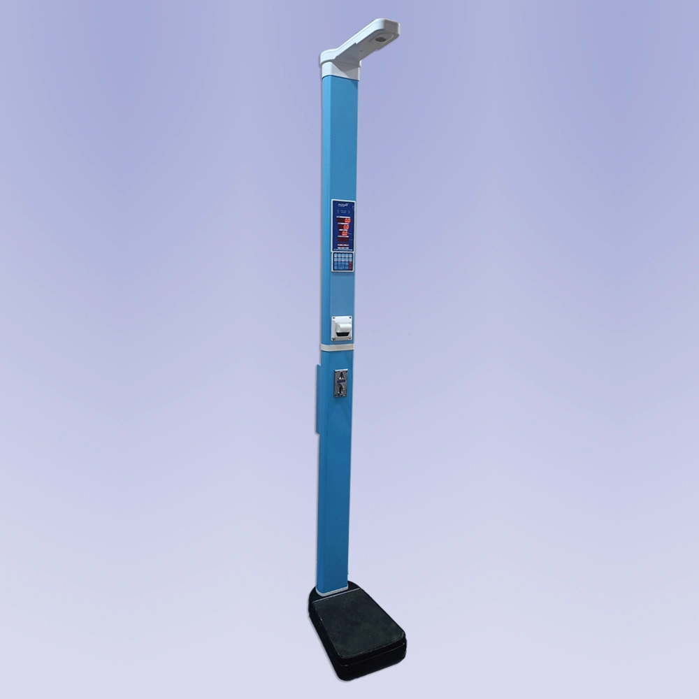 Body Mass Index scale