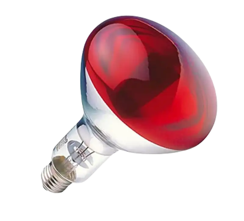 Infrared Heat Lamp