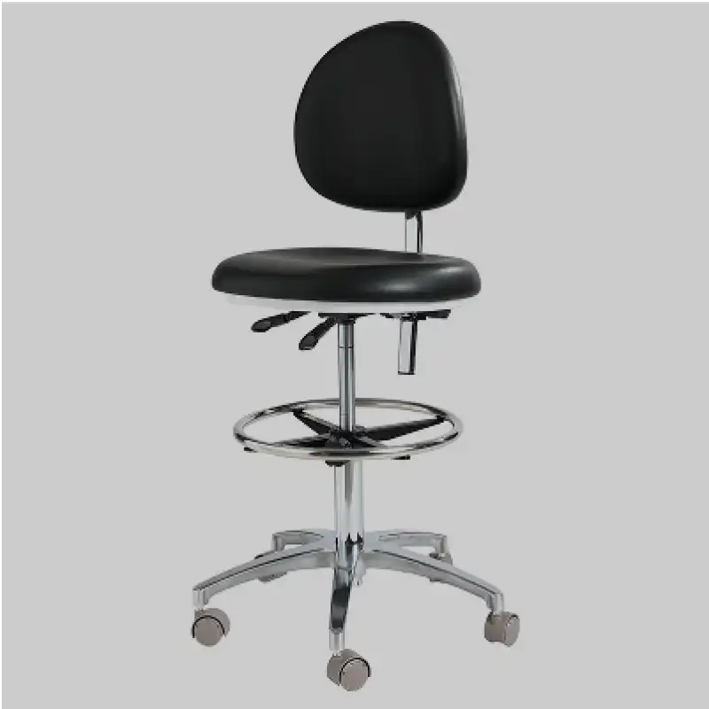 Saddle Stool with Back Rest
