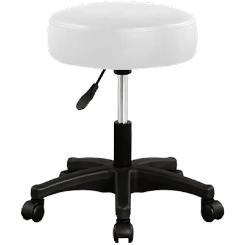 Swivel Stool